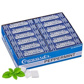 Peppermint Mints Classic Long-Lasting Breath Freshener, Retro Mint Candy, Individually Wrapped Tablets, 15 Mints per Pack(Pack of 24)