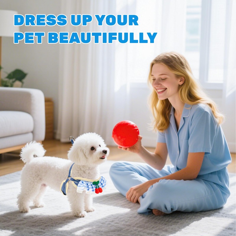 Jestrem No Pull Small Dog Harness and Leash Set