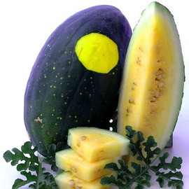 Moon & Stars Yellow Flesh Watermelon - 2 g ~25 Seeds - Heirloom, Open Pollinated, Non-GMO, Farm & Vegetable Gardening/Fruit Seeds