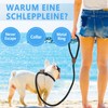 Supet Dog Lead, Slip Lead with Pull Stop, Moxon Lead,
