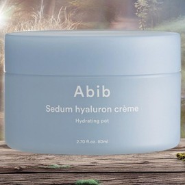 Aviv Moisture Supply Skin Oil Moisture Skin Moisture Hyaluronic Cream Hydrating Pot 1 x 80ml / 아비브 수분공급 피부유수분 피부촉촉함 수분초 히알루론 크림 하이드레이팅 팟 1개 80ml