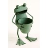 Murataya [Frog Figurine] Petit Frog Mini Planter
