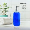 Cornucopia Brands 16-Ounce Clear Glass Bottles w/Stainless Steel Pumps (2