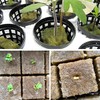 STEELMIGHT 200pcs Rock Wool Cubes 1" Hydroponic Cultivation System Seedling