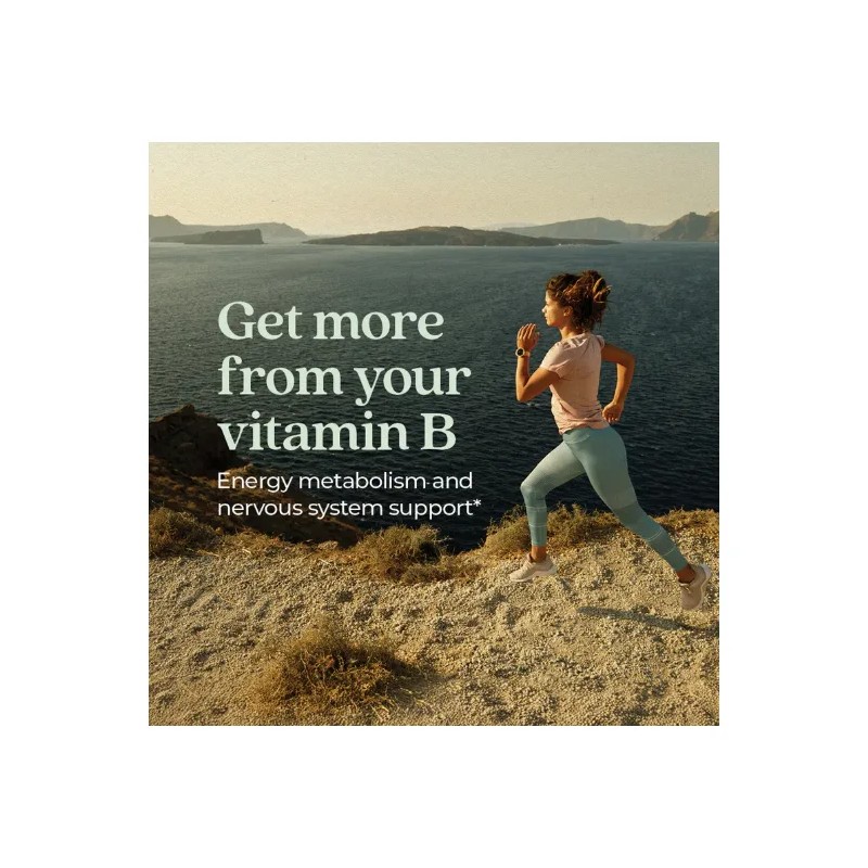 Coenzyme Complex New Chapter Vitamina Tabletas Vegano Sabor