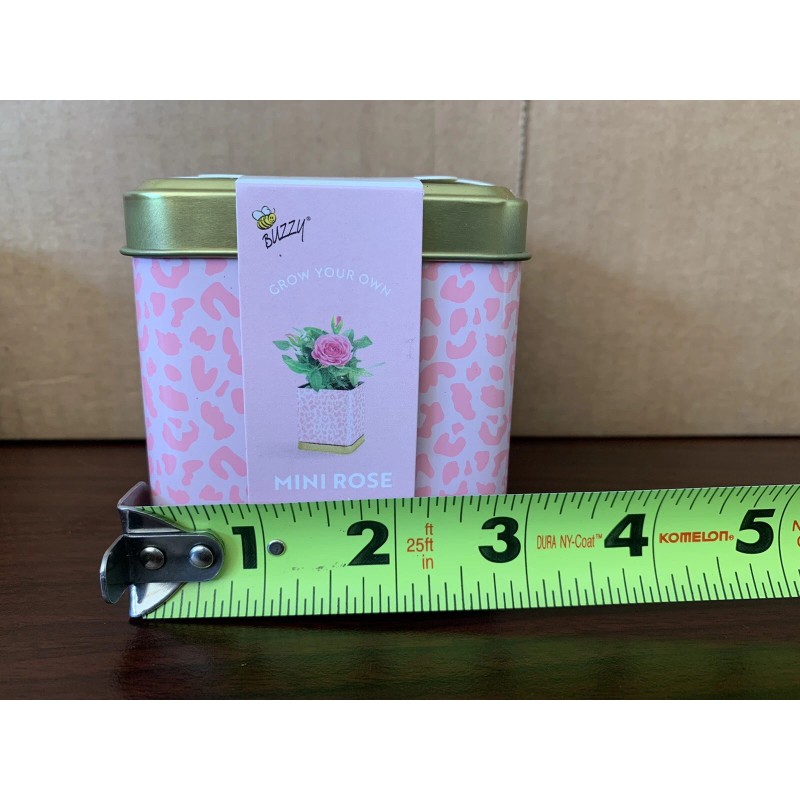 Buzzy Grow Your Own Grow Kit Mini Rose, Basil, &