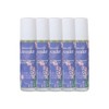 The Herb Story Condition Care Refresh Essential Sleep Aromatherapy Lavender Roll-On 8ml 5pcs / 더허브스토리 컨디션케어 리프레쉬 에센셜 수면 아로마테라피 라벤더 롤온 8ml 5개