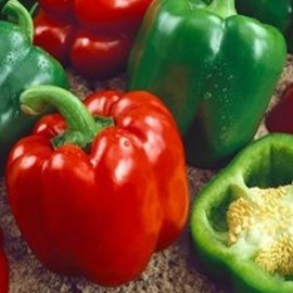Keystone Resistant Giant Sweet Pepper Garden Seeds - 500 g Packet ~60 Seeds - Non-GMO, Heirloom - Four Lobed Green & Red Bell Peppers - Vegetable Gardening Seeds