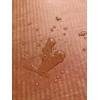 Cats Desire Litter Box - Disposable Litter Box Pack (6