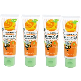 【×4本】Dental Exclusive Oral Care Home Gel Orange Caries Prevention Gel 65.0 Gram
