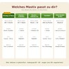 Mastix Comfort (28 Bags) Masticlife