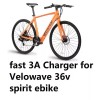 coming data Fast 3A battery charger for Velowave 36v spirit