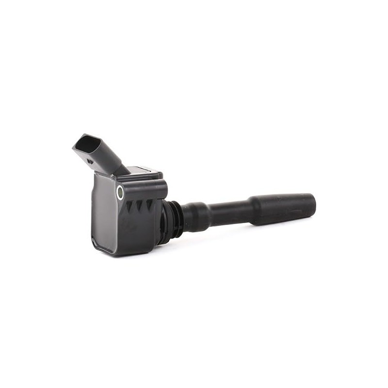 RIDEX Ignition Coil 689C0031 Golf VII Hatchback (5G1, BQ1, BE1,