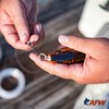 American Fishing Wire Mighty Mini Snap Swivels, Black, 170-Pound, 50-Piece