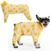 Spark Paws Dog Pajama, Dog Recovery Suit Male, Onesie, Ultra-Soft