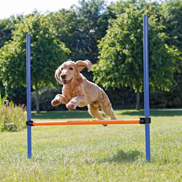 TRIXIE Agility Hurdle, Jump Training, Obstacle Course