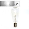 Hometown Evolution, Inc. Vintage Edison Outdoor String Lights (ST40 Clear