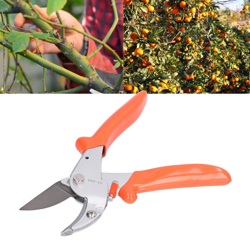 Pruning Shears Carbon Steel Fruit Branch Shears Plant Trimming Scissor