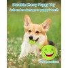 TONGKTAI Puppy Toys Squeaky Funny Squeaky Dog Egg Balls Soft