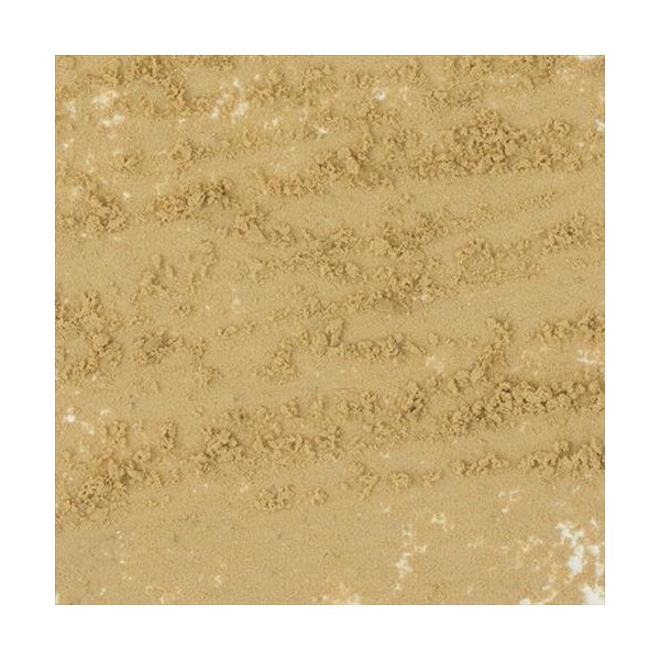 Jack Richeson Handmade Soft Pastel Half Sticks - EY5(8)