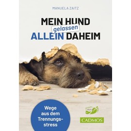 Mein Hund gelassen allein daheim: Wege aus dem Trennungsstress