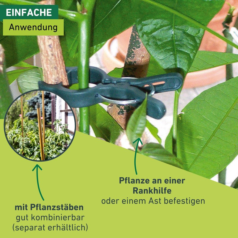 Windhager 71678 Plant Clips Plant Attachment Plant Holder Pack of