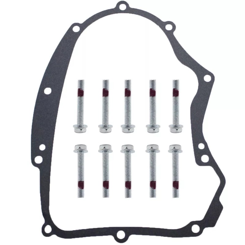 nanne869 For Briggs and Stratton 594195 Crankcase Gasket Kit