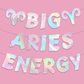 Big Aries Energy Banner, March/April Birthday Party Décor, 12 Constellation Zodiac Aries Party Decorations, Astrology Birthday Supplies