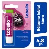 5 Pack Labello Bálsamo Labial