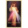 How to Pray the Rosary, Prayer Card (5-pack), with a
