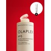 Olaplex NO.5 Bond Maintenance Conditioner 250ML / NO.5 본드 메인터넌스