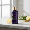 Shampoo Anticaída Terramar 250 Ml Árnica, Romero Y Limón