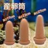 TIGRE BLANC Spawning Tube, Spawning Floor, Breeding, Breeding, Disqus, Angelfish,