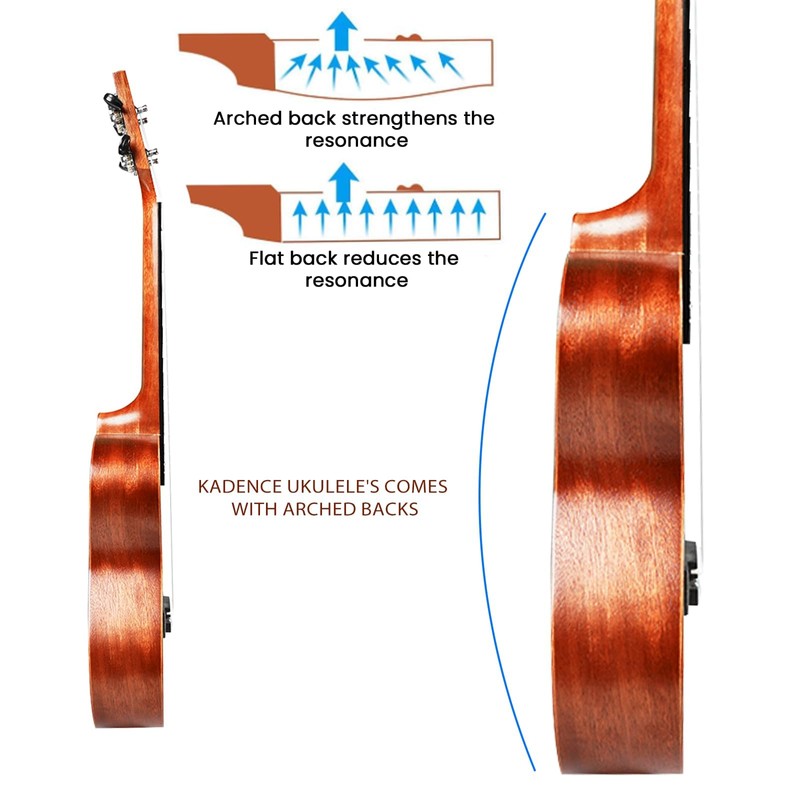 Kadence Concert Ukulele 23" Spring Summer Collection of Ukuleles- Matt