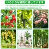 40 Pcs Trimming Clips Gardening Clips String Attracting Clips Plant
