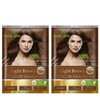 Herbishh Light brown Hair Color Shampoo 2 Travel Pack Combo