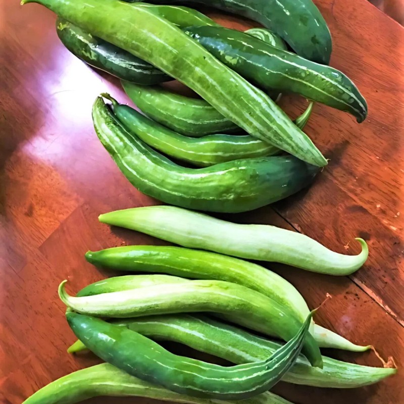 Straightup Nature Fresh Buag Ngu Seeds | 10 Seeds |