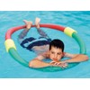 Item Fox Swimming Noodle Pool Noodle Set of 2 160
