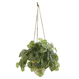 Nearly Natural 24” Watermelon Peperomia Artificial Hanging Vase (Real Touch) Silk Plants Green