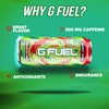 G Fuel Energy Drink, Watermelon, Sugar Free Beverage with 300mg