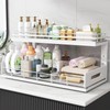Biboraya Under Sink Organizer Upgrade To Professional Rails,2-Tier Dual Pull