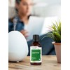 Horbäach Jasmine Fragrance Oil | 1 fl oz (30ml) |