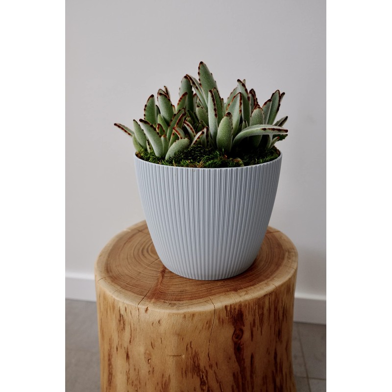 Tymar Flowerpot, pack of 2, round shape, planter (2 pack),