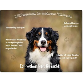 Merchandise for Fans Tin Sign / Warning Sign / Door Sign Aluminium 15 x 20 cm Welcome to My Home Motif Bernese Mountain Dog Portrait 02