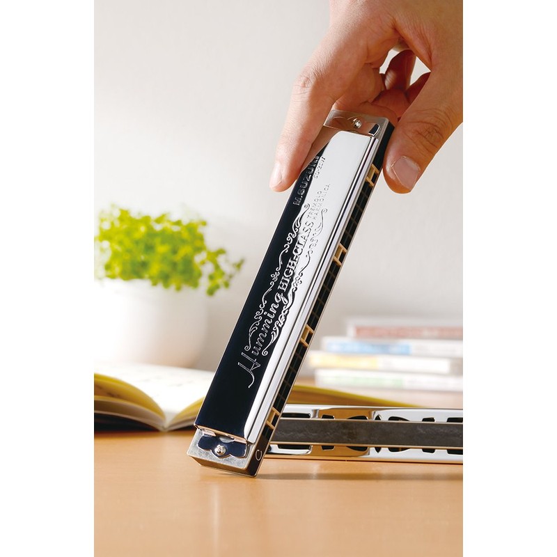Suzuki 21 Hole Duplication Harmonica Suzuki Luxury Humming SU-21W FNm