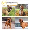 HEELE Dog Collar, Reflective Dog Collar, Soft Neoprene Padded Breathable