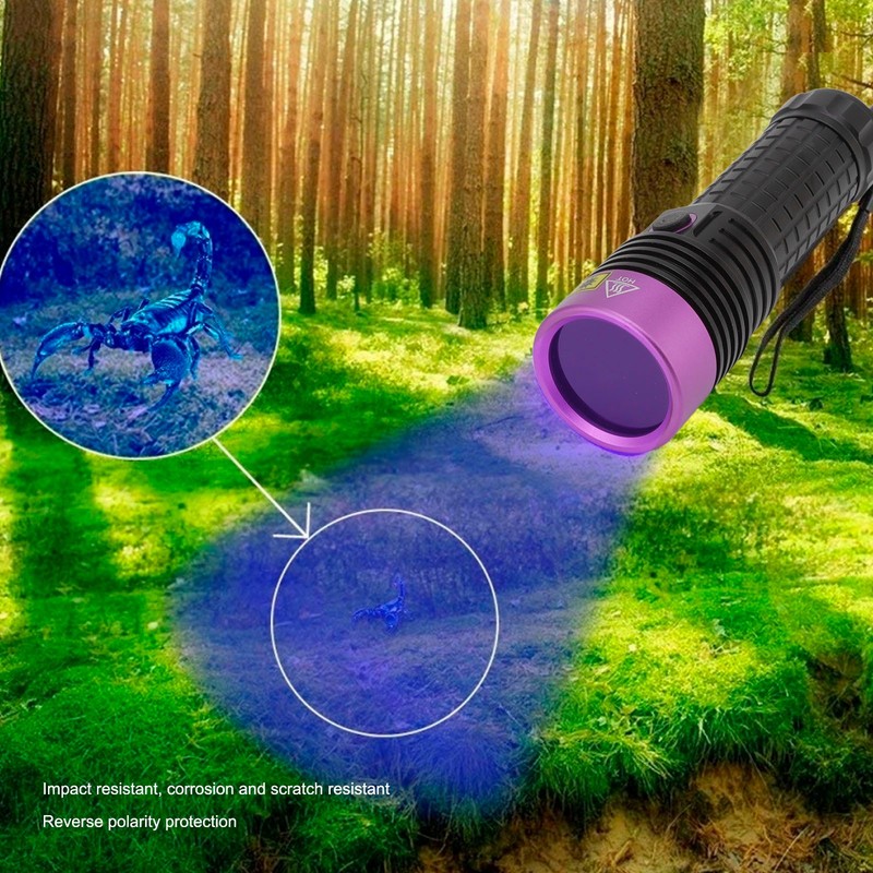 Y40 Purple Light Flashlight High Power LED 365NM UV Torch