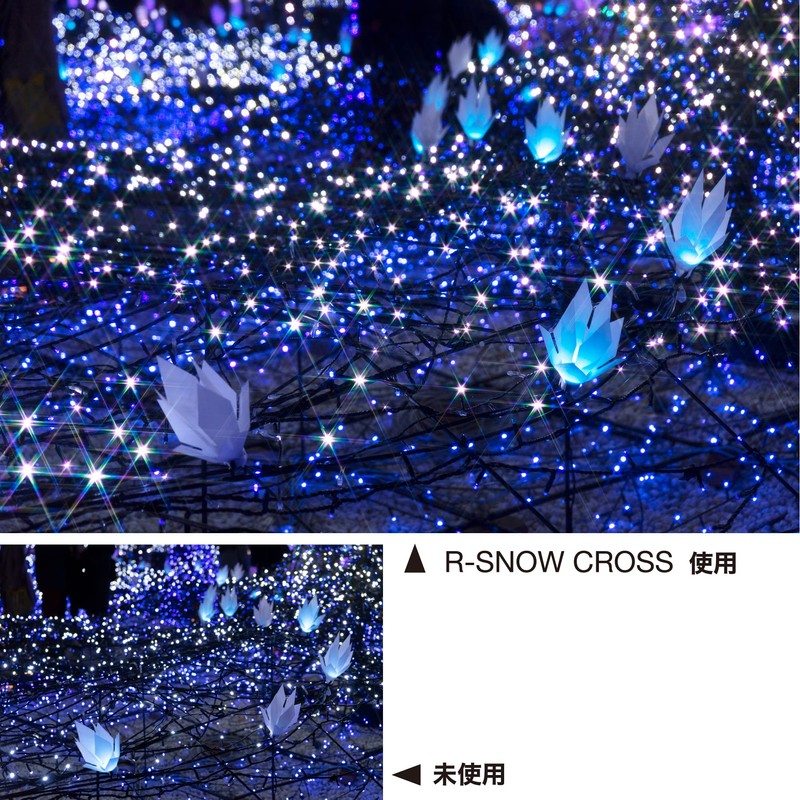 Kenko 825280 PRO1D R-Snow Cloth Filter (W) 1.9 inches (49