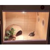 Coconut House, Dodgehouse, Hideaway, Reptile, Small Pet, Cute, Natural, Coconut