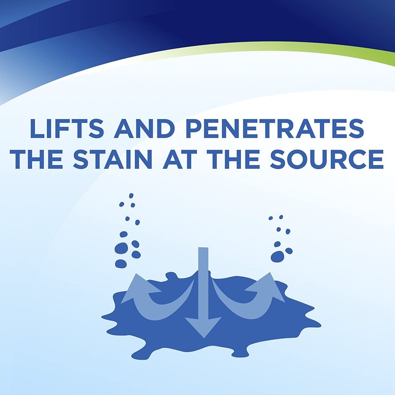 Woolite INSTAclean Oxy Carpet Cleaner 22 oz. Liquid